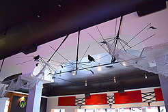 WATERCRESS HALLOWEEN